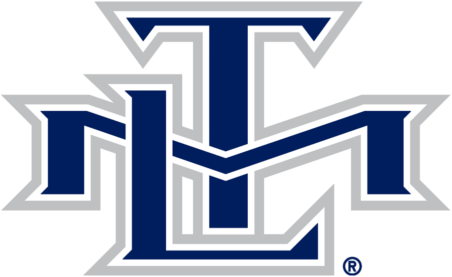 Toronto Maple Leafs 2000-2007 Alternate Logo iron on transfers for fabric